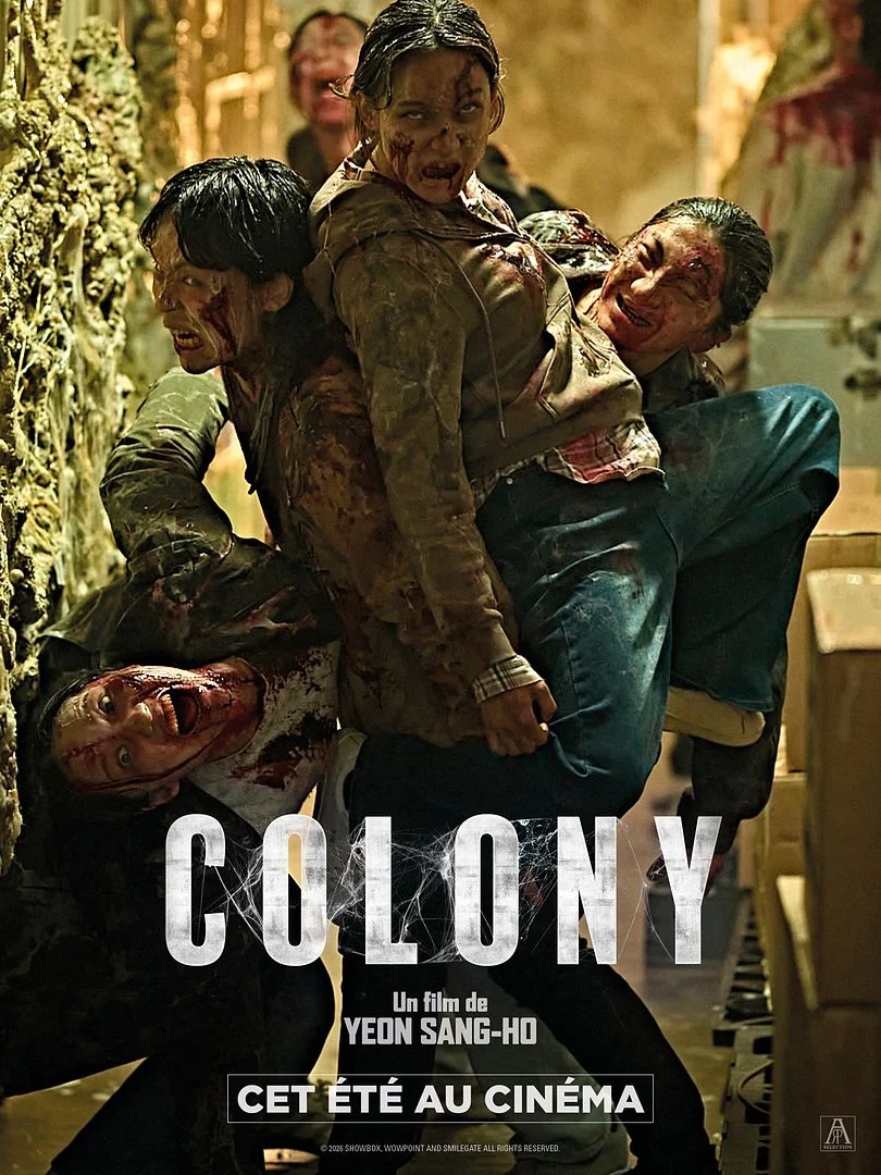 Colony